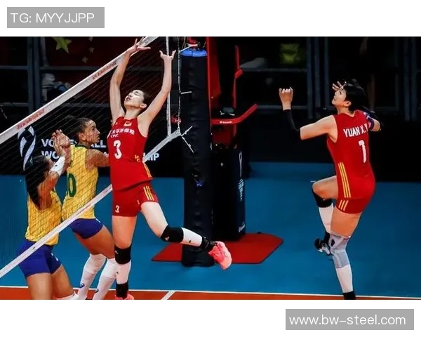 南京排球队技术分析与发展策略探讨聚焦排球运动的未来与挑战